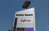 felicitysquare.jpg